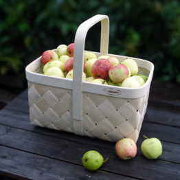 Apple basket